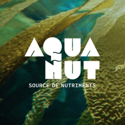 AQUANUT /// Site internet /// Bretagne