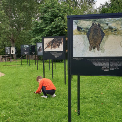 LES CHAUVES-SOURIS, PORTRAITS RENVERSANTS /// Panneaux d’exposition 2021 /// PNRLAT Montsoreau